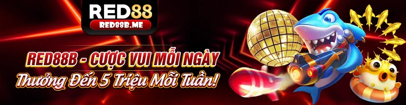 Minh họa môi trường cá cược an toàn và bảo mật tại 8xbetcom